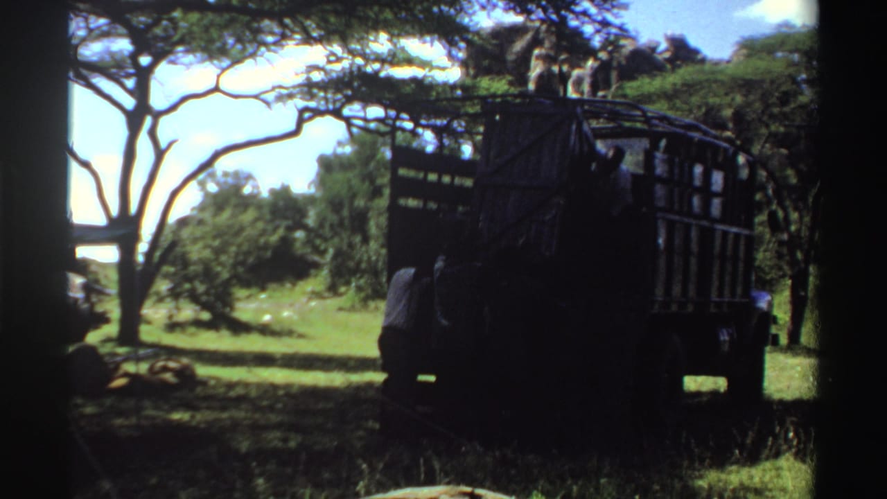 1969 Nigeria 8mm frame with a dark truck under trees, men nearby, and a bright grassy clearing beyond.