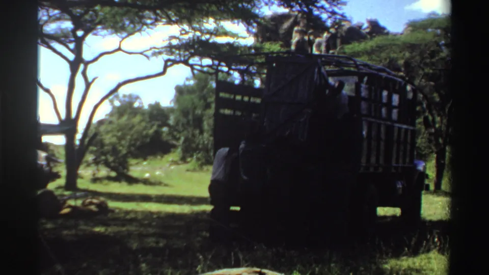 1969 Nigeria 8mm frame with a dark truck under trees, men nearby, and a bright grassy clearing beyond.