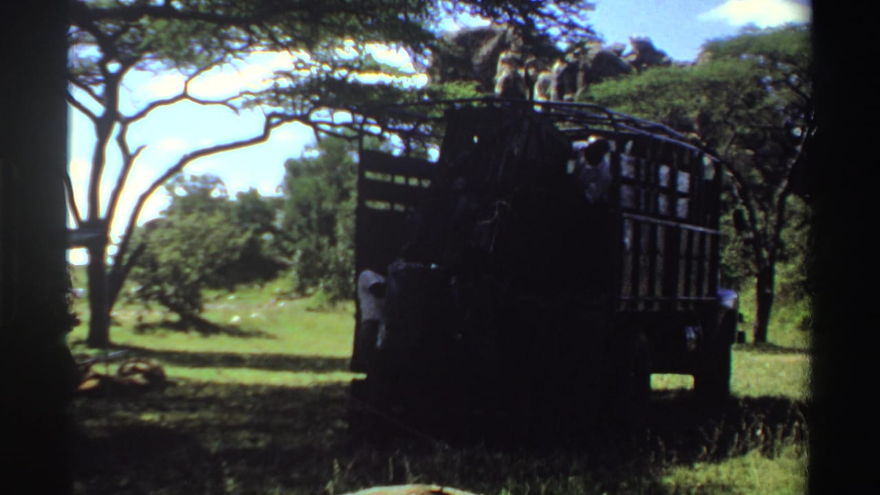 Men work around a dark open-backed truck in a grassy field beneath trees.