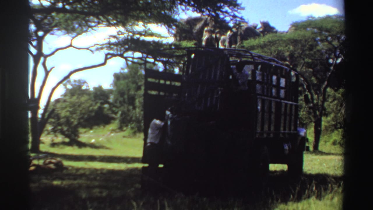 Nigeria 1969 8mm frame with a cage-sided truck partly in shadow and men positioned around the vehicle.
