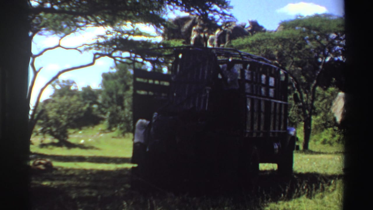 Nigeria 1969 8mm frame showing workers around a dark open truck, with grass, trees, and bright sky in the background.