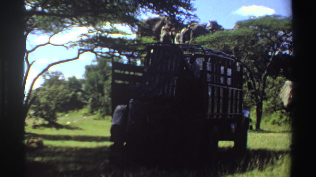 Nigeria 1969 8mm frame focused on a dark cage-sided truck as men work in a grassy, tree-lined field.