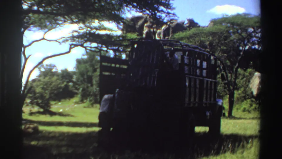 Nigeria 1969 8mm frame focused on a dark cage-sided truck as men work in a grassy, tree-lined field.