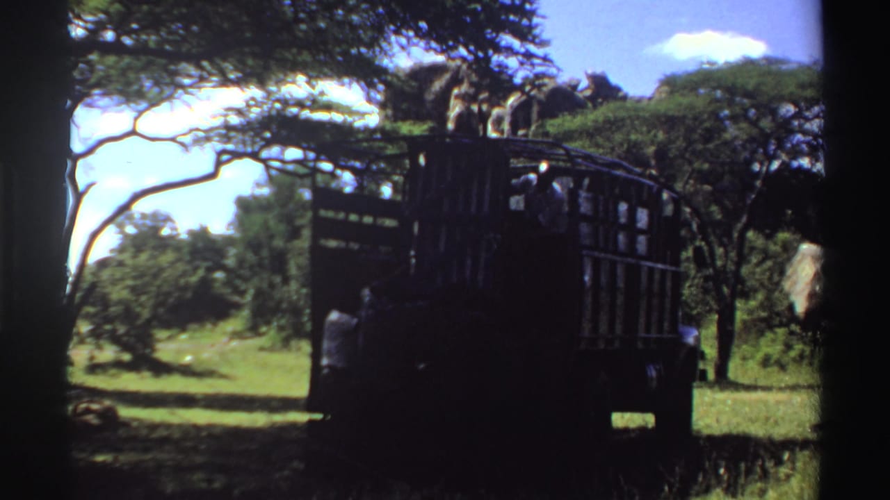 Cage-sided truck partly silhouetted in a 1969 Nigeria home-movie frame, with elephants visible beyond the vehicle and trees.