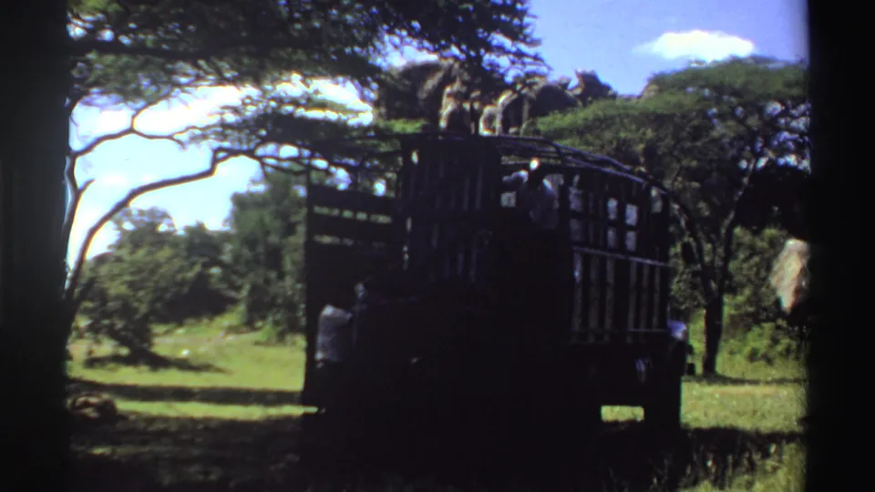 Cage-sided truck partly silhouetted in a 1969 Nigeria home-movie frame, with elephants visible beyond the vehicle and trees.