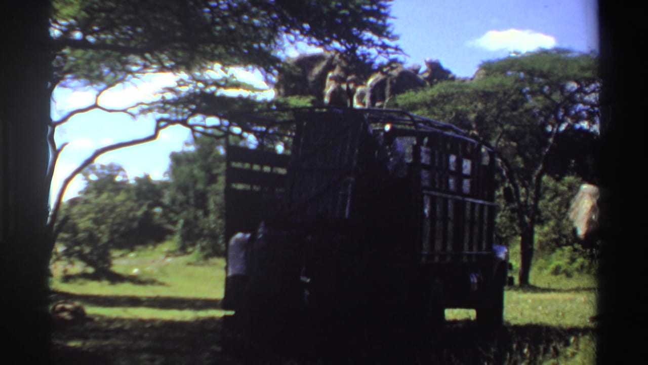 1969 Nigeria 8mm frame with a person partly visible in shadow beside a cage-sided truck and elephants in the background.
