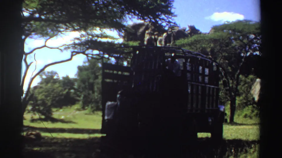 1969 Nigeria 8mm frame of a dark pickup truck under trees, with a man near the back and open grass beyond.