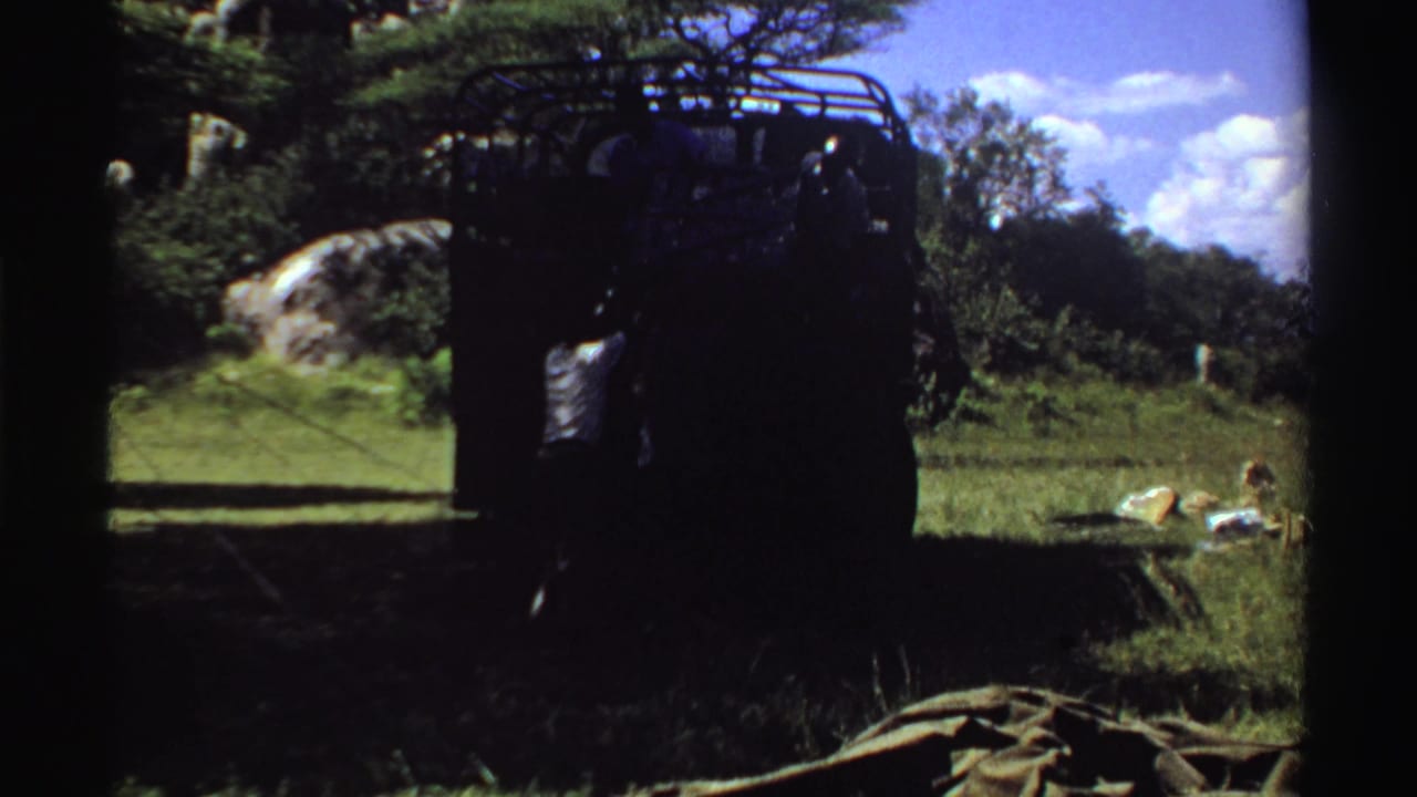 1969 Nigeria 8mm frame showing the parked truck mostly silhouetted, a man beside it, and bright savanna grass in the background.