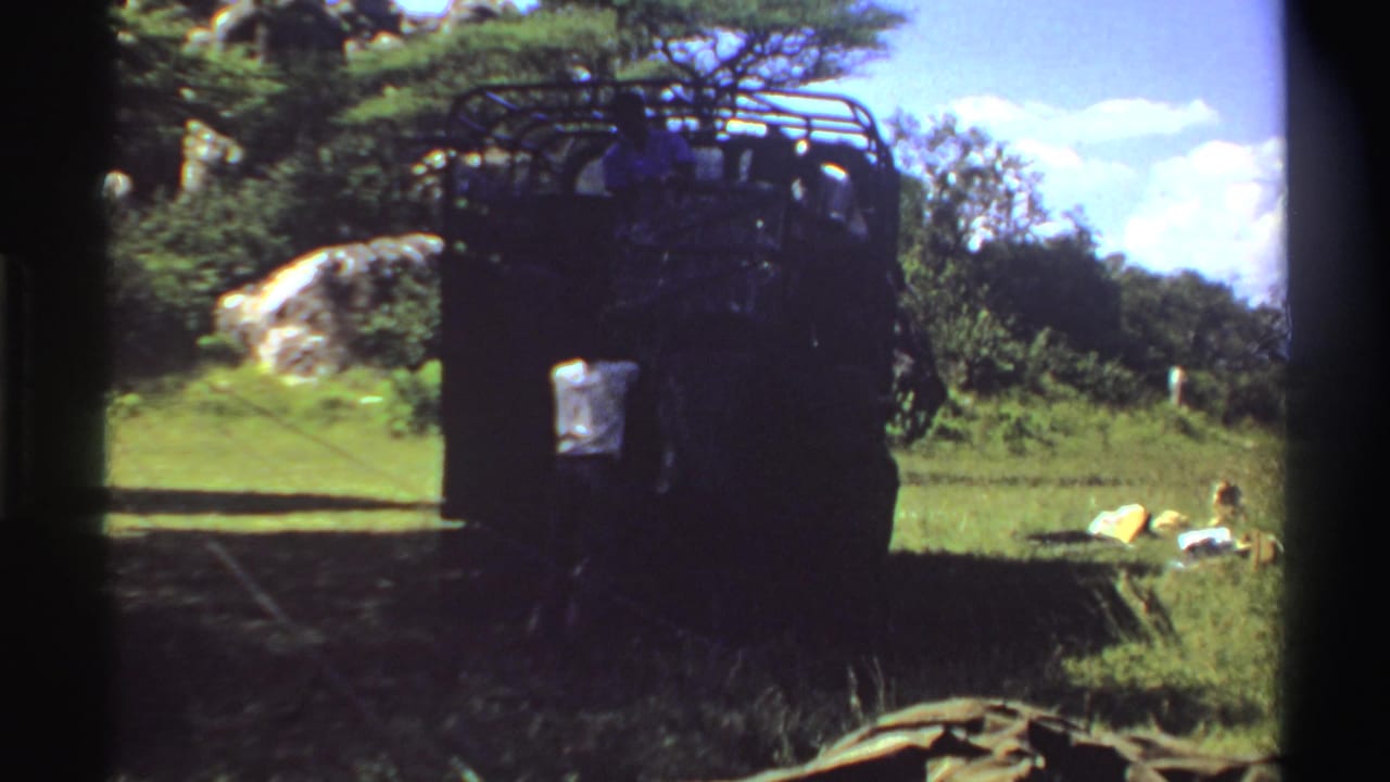 Dark roof-rack truck parked on grass near trees and a pale rock outcrop.