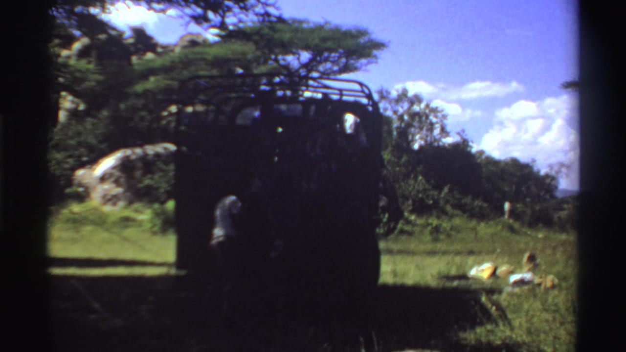 Dark truck under a tree with a silhouetted person nearby and items lying in the grass.