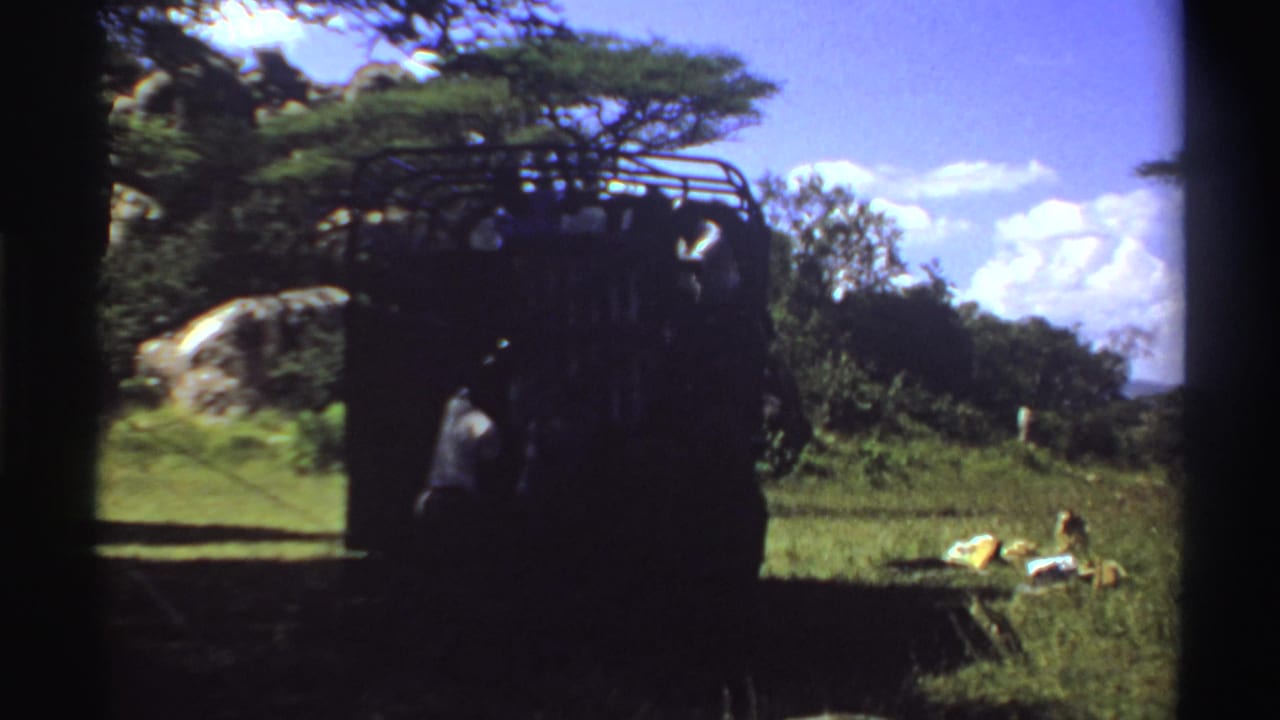 1969 Nigeria 8mm frame showing a person at the back of a dark truck beneath a tree, with grass, sky, and small items visible.
