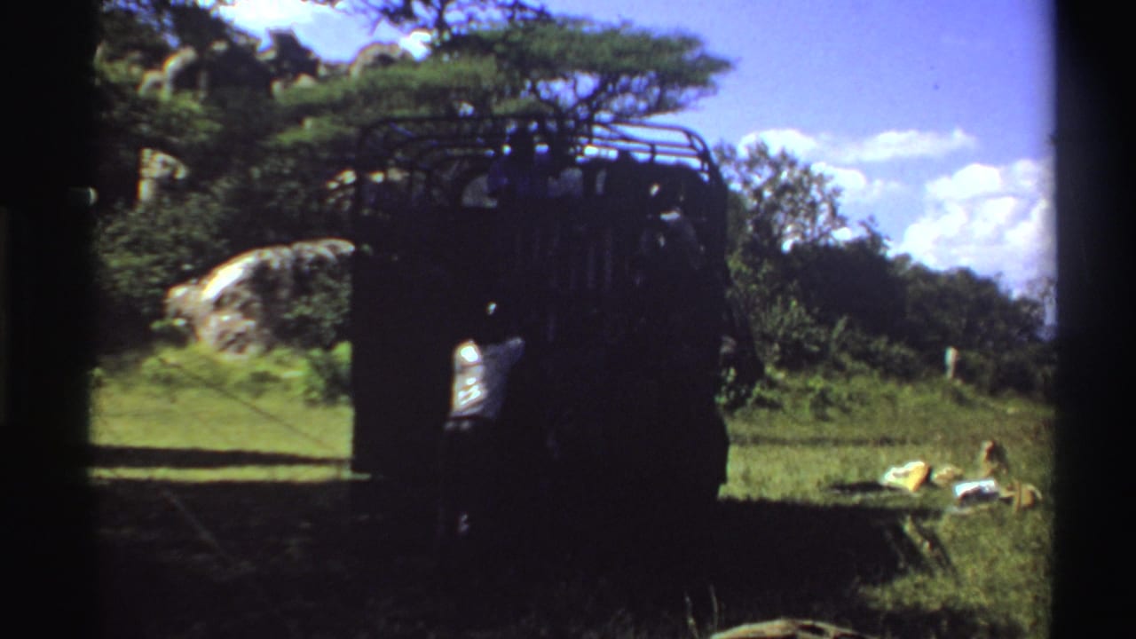 Dark utility truck in a grassy field with people silhouetted near the open rear.