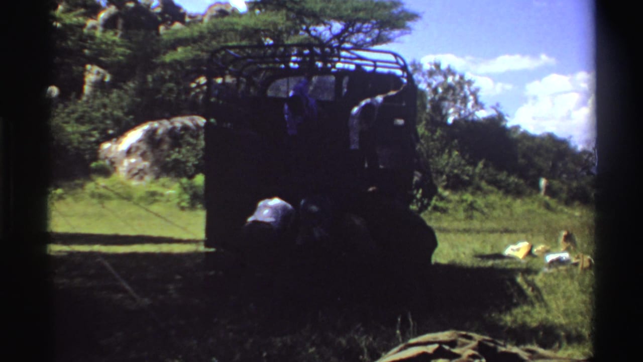 People stand and crouch beside a dark truck in grass with trees and rocks behind them.
