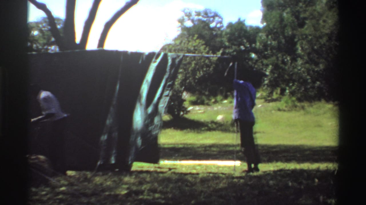 A person stands beside hanging cloth or gear near the truck in a sunlit Nigerian savanna scene, with trees and grass visible.