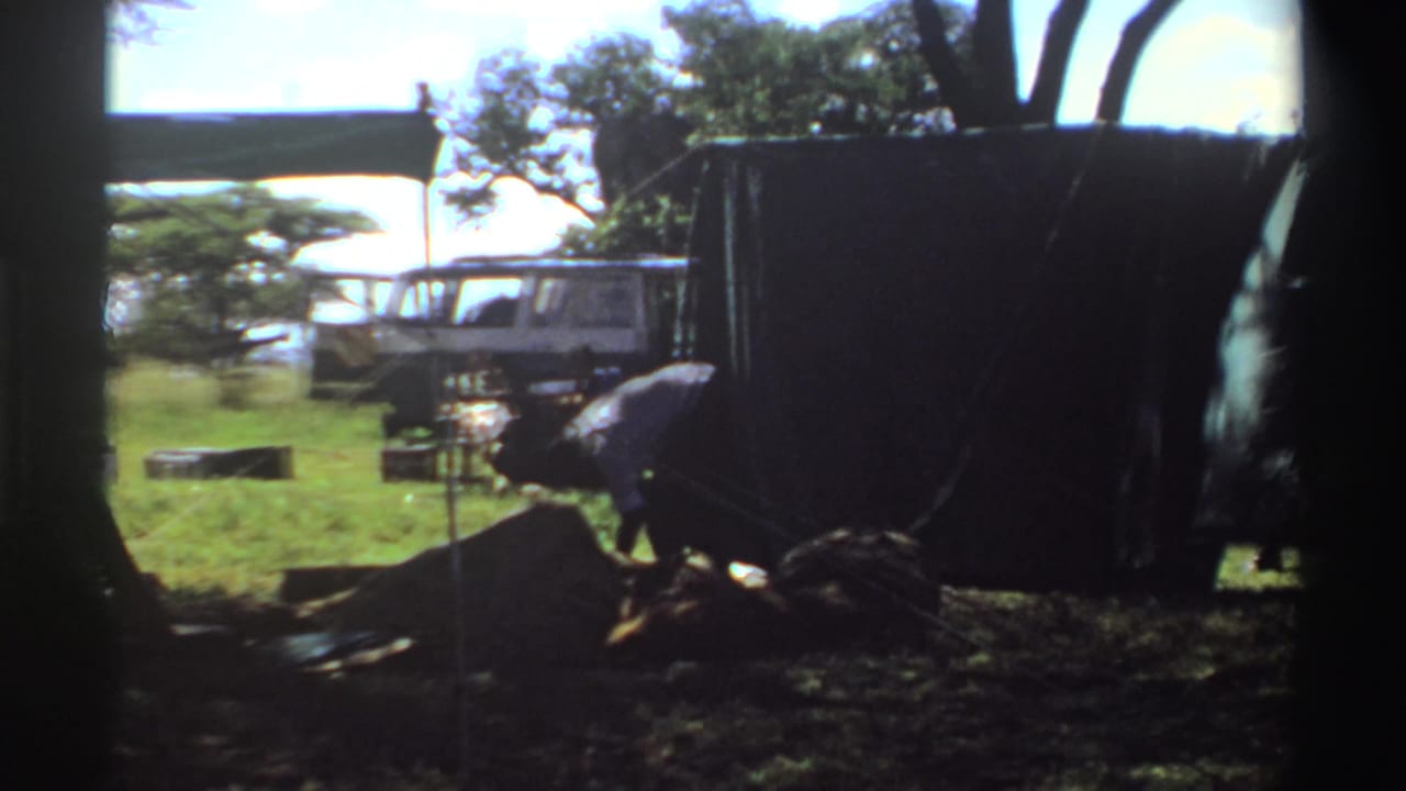 Near the end of the clip, a person bends beside the green tarp while a white van and trees remain visible behind it.