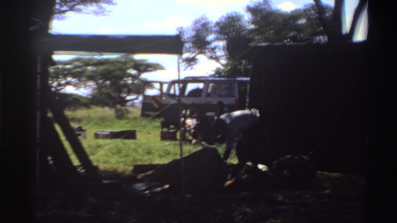 A man in a light shirt bends over a repair task in a grassy Nigerian camp area, with a white van and trees behind him.