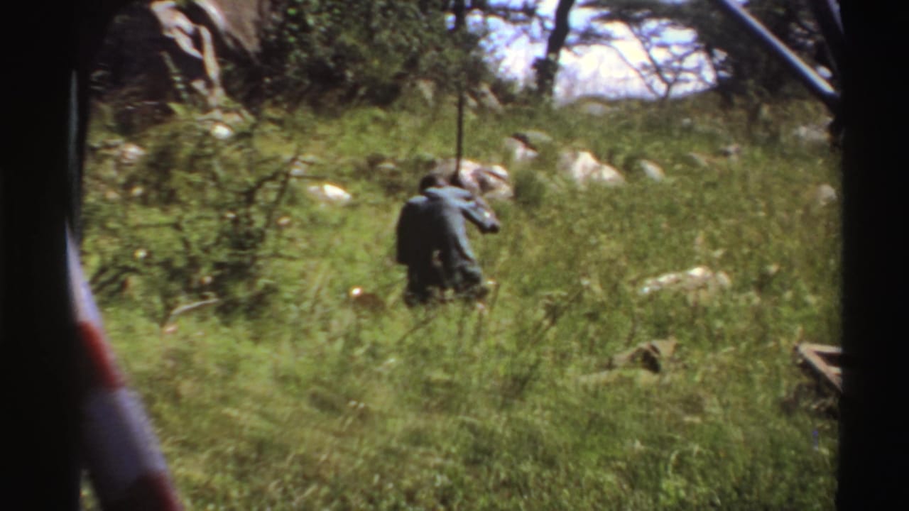 Man in dark clothing standing in tall grass with a long stick, seen through a vehicle window.