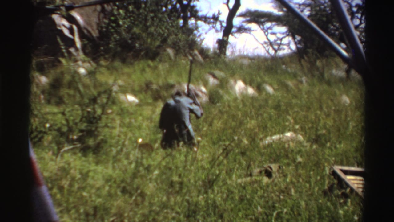Man bending in tall grass while holding a stick, with rocks and trees in the background.
