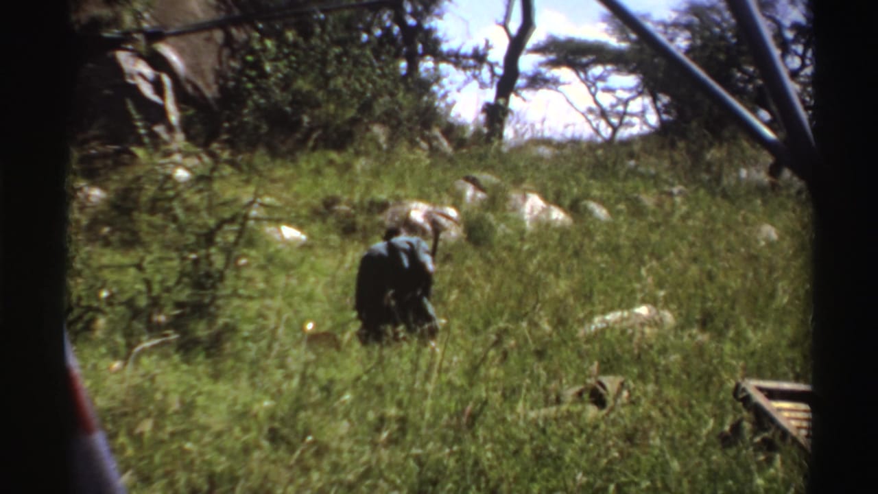 1969 Nigeria 8mm frame showing a man partly hidden by tall grass as he leans forward with a stick in a savanna setting.