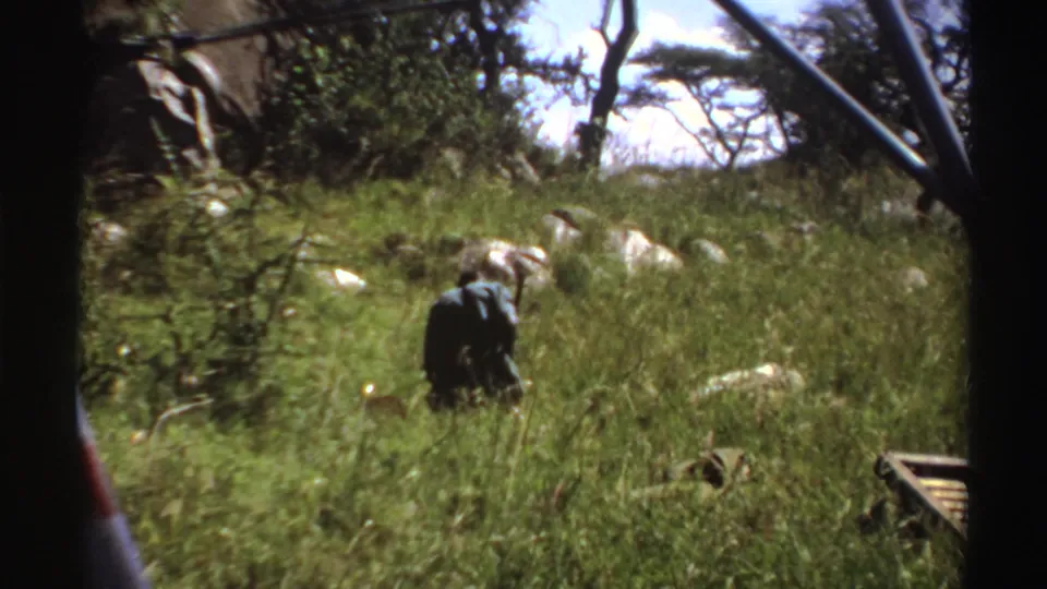 1969 Nigeria 8mm frame showing a man partly hidden by tall grass as he leans forward with a stick in a savanna setting.