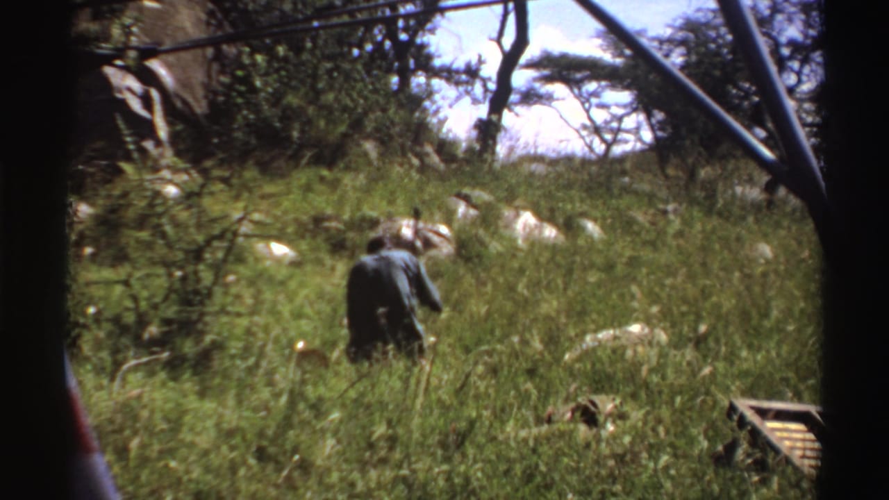 1969 Nigeria 8mm frame of a man bent over in tall grass with a stick, with rocks, trees, and vehicle-window edges visible.