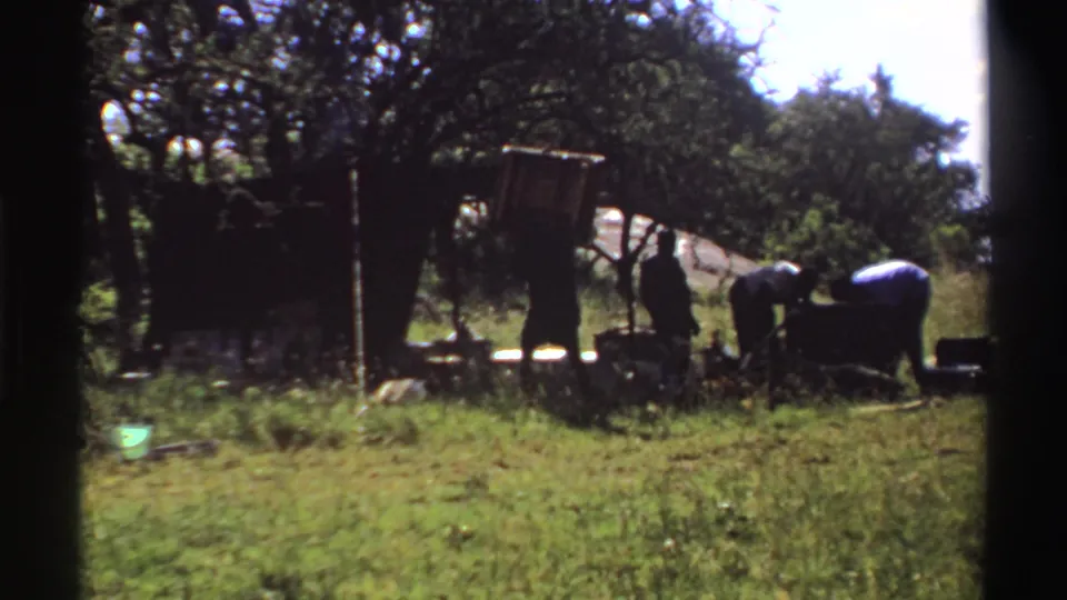 1969 Nigeria home-movie view of several people working in a grassy rural area beside trees and simple supports.