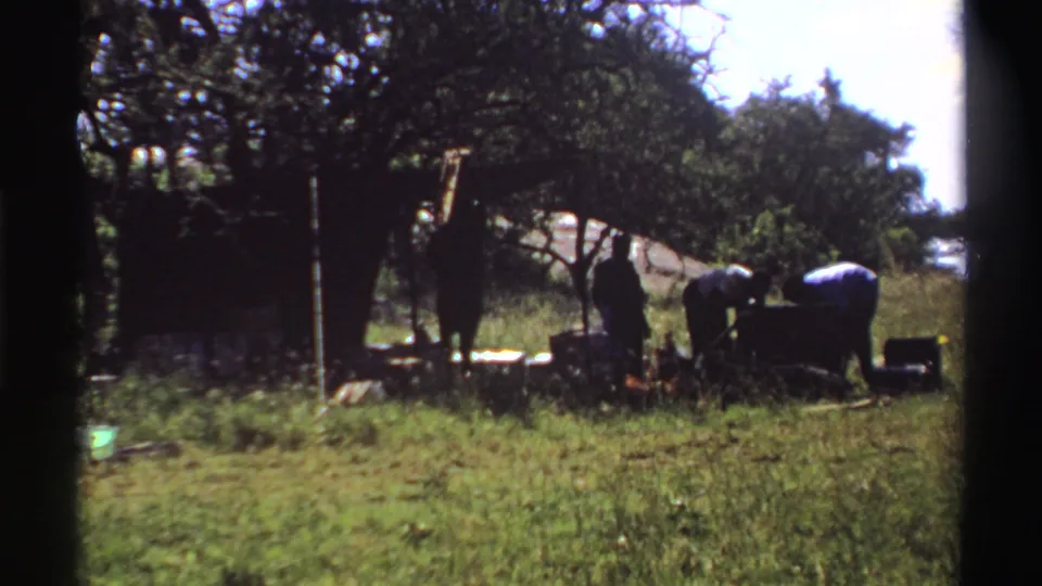1969 Nigeria rural field view with a standing figure, a shoulder-carried basket, and workers bent over the ground.