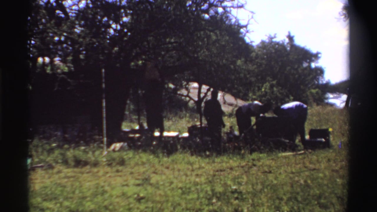 Four people working in shade under a tree beside tall grass.