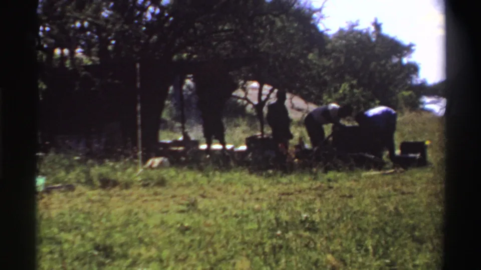1969 Nigeria rural scene with people bending over a low surface beneath tree shade beside sunlit grass.