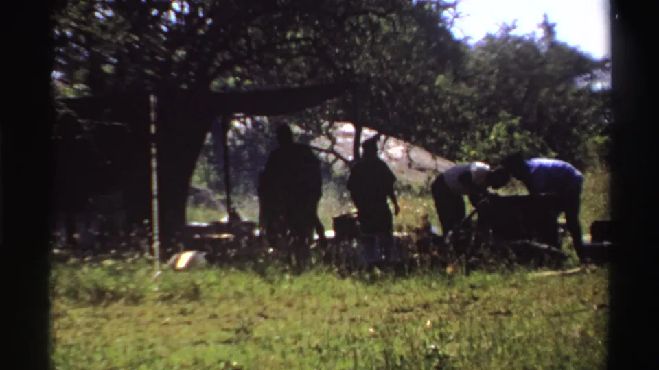1969 Nigeria frame with four people in partial silhouette working near a low surface under a broad tree.