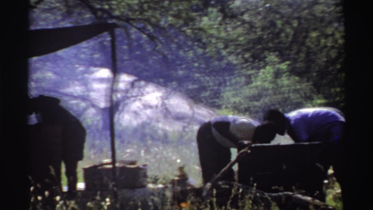 People silhouetted near a cooking pot under a makeshift shelter in a green field.
