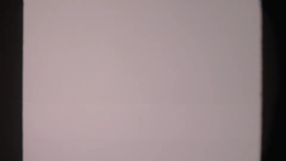 Final overexposed 8mm frame with a pale blank field and dark central film-edge division after the leopard footage.