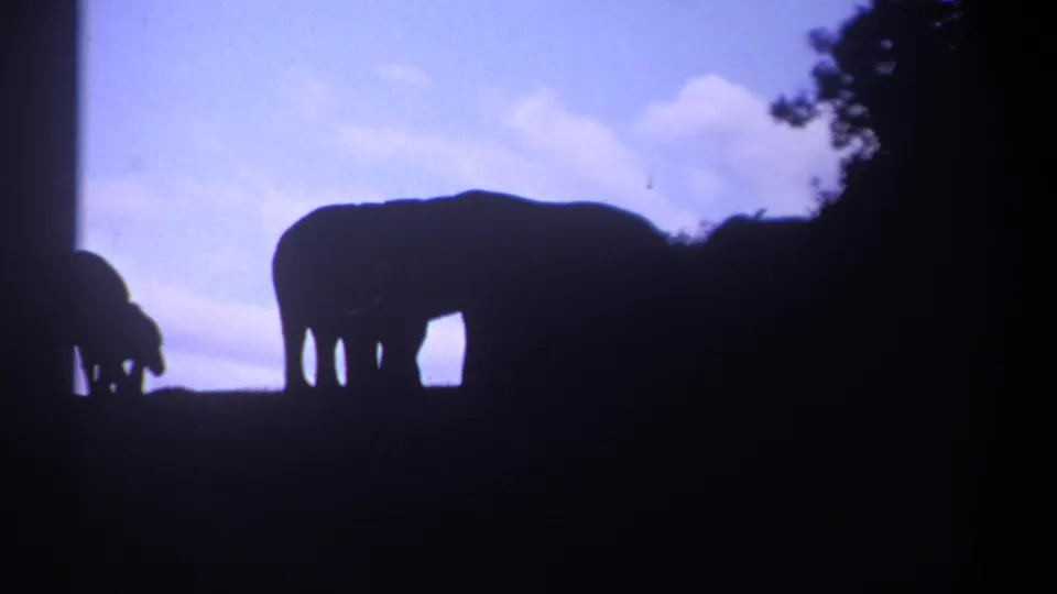 1969 Kenya 8mm frame with silhouetted elephants on a dark ridge, framed by blue sky, soft clouds, and heavy shadow at the sides.