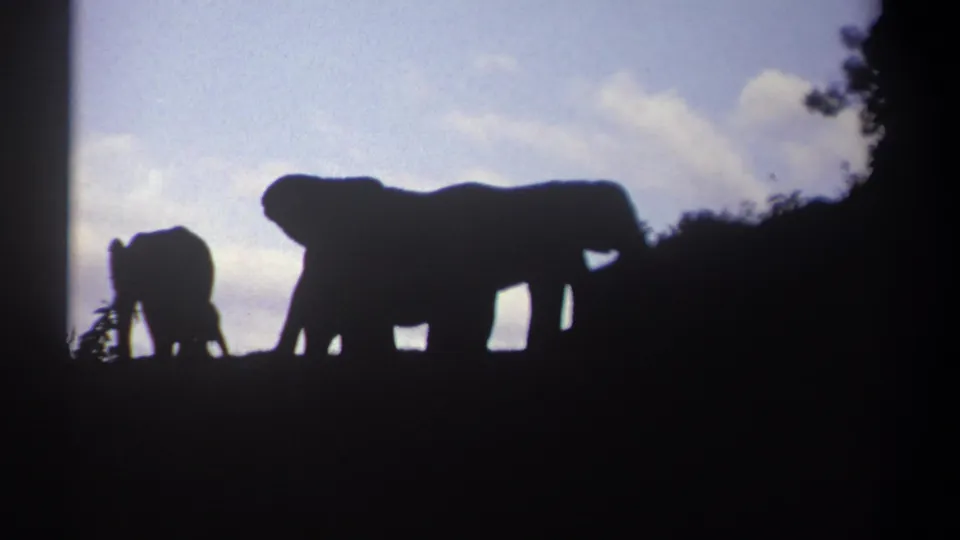 1969 Kenya 8mm frame with two elephants silhouetted against pale blue sky and clouds.