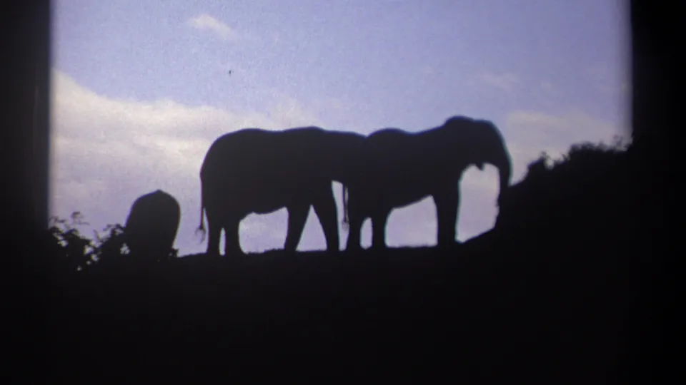 1969 Kenya 8mm frame with multiple elephant silhouettes spread across a hilltop against sky.
