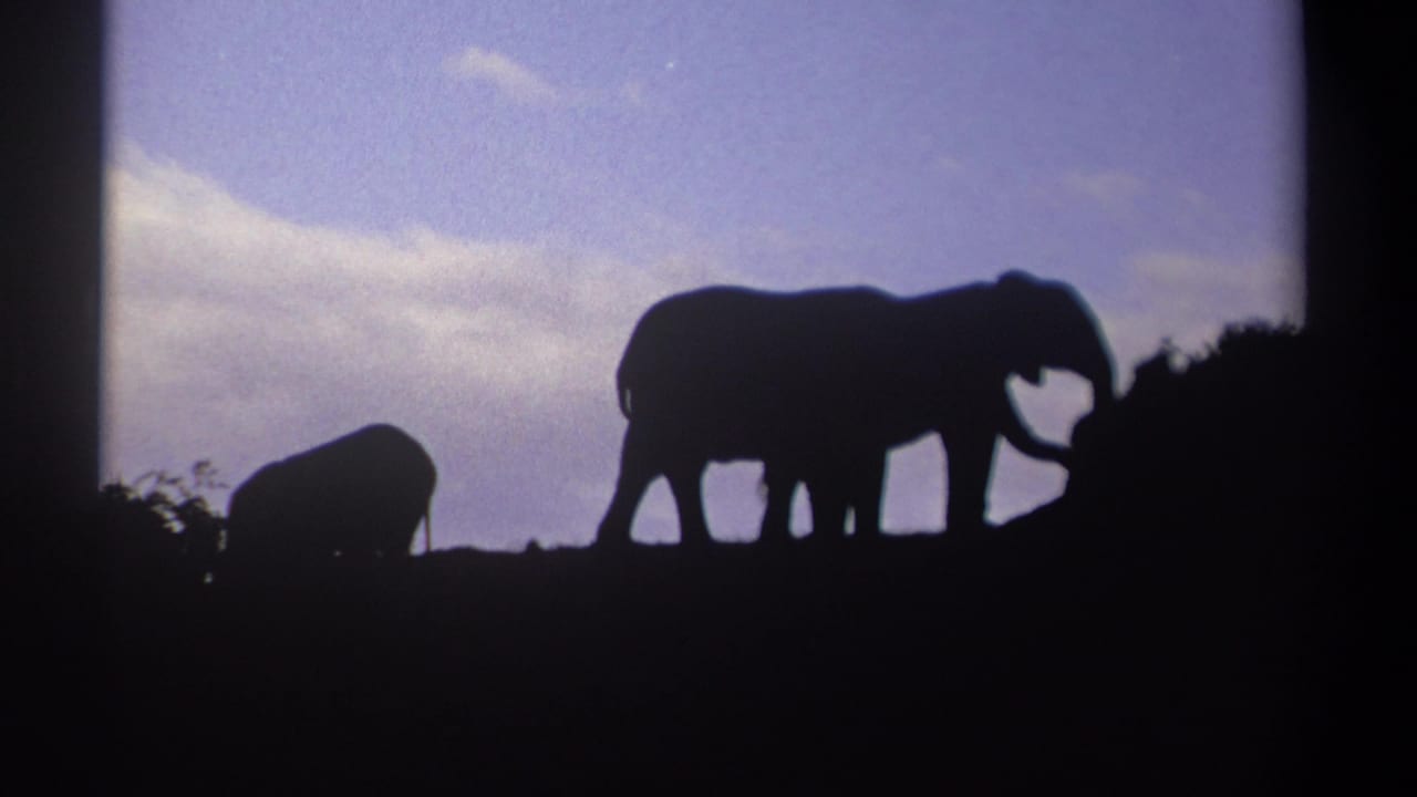 1969 Kenya 8mm frame showing two elephants in silhouette on a dark ridge under a softly clouded sky.