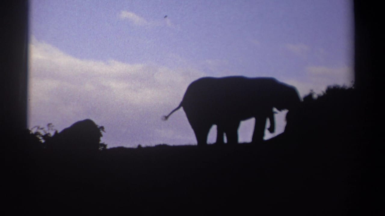 1969 Kenya 8mm frame showing two elephants in silhouette on a ridge against a blue sky with scattered clouds.