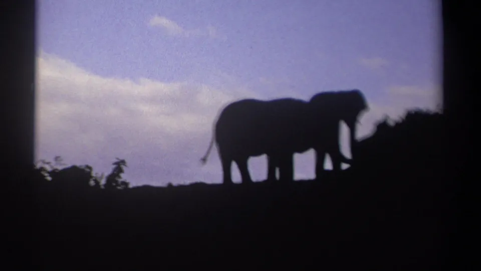 1969 Kenya 8mm frame of two side-by-side elephant silhouettes on a ridge, with clouds crossing the blue sky.