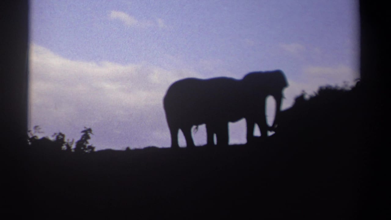 Two elephant silhouettes on a ridge beneath a cloudy sky.