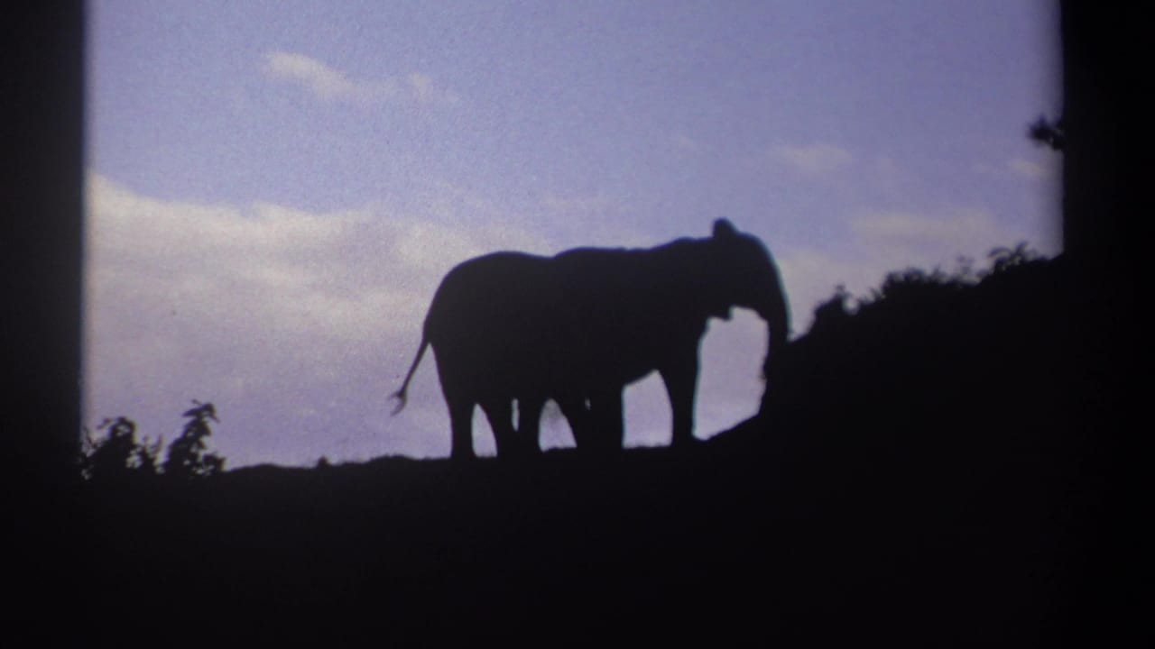 1969 Kenya 8mm frame showing two elephants silhouetted on a low horizon beneath a twilight sky.