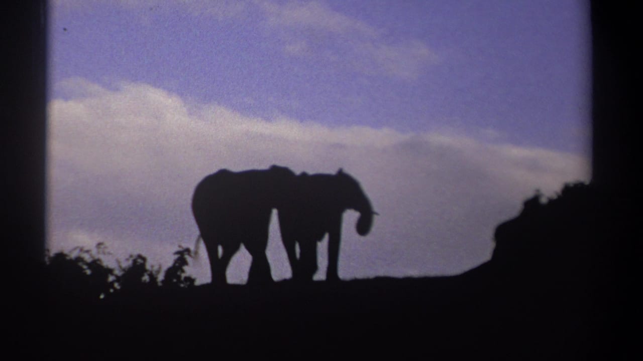 Two elephants appear in silhouette on a hilltop ridge in Kenya, 1969, with pale clouds behind them and 8mm frame edges visible.