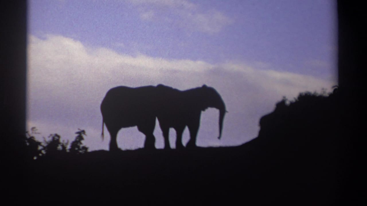 Two elephants silhouetted on a ridge beneath a pale clouded sky.
