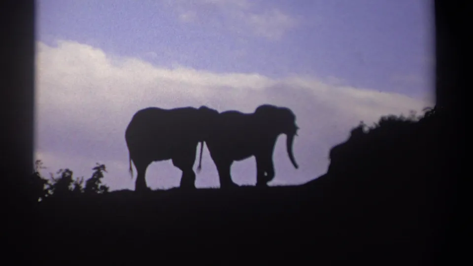1969 Kenya 8mm frame showing two elephants silhouetted side by side on a ridge under a blue sky with pale clouds.