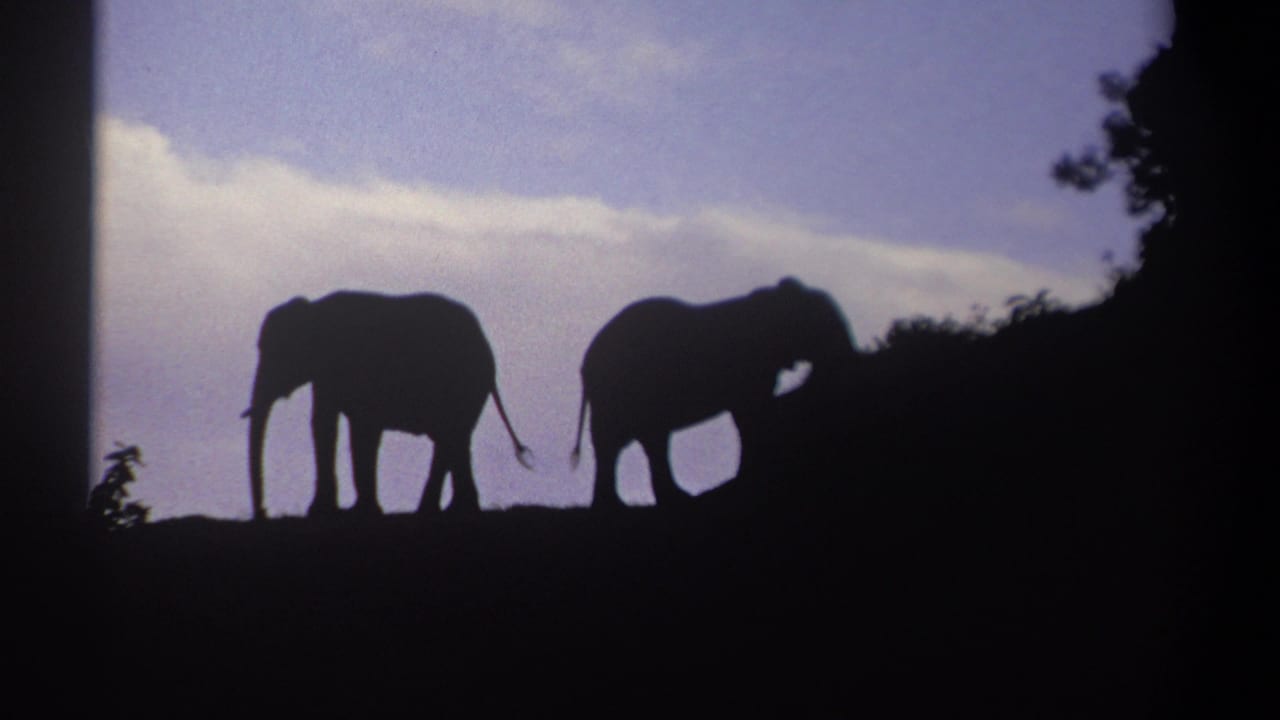 Two elephants silhouetted on a hill beneath a blue sky with pale clouds.