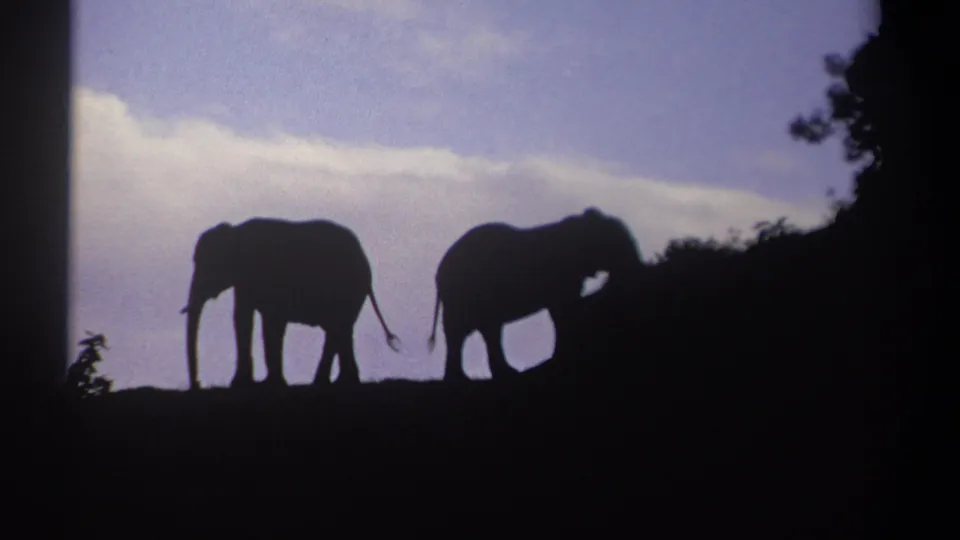 1969 Kenya 8mm frame showing two African elephants in dark profile on a ridge against blue sky and clouds.
