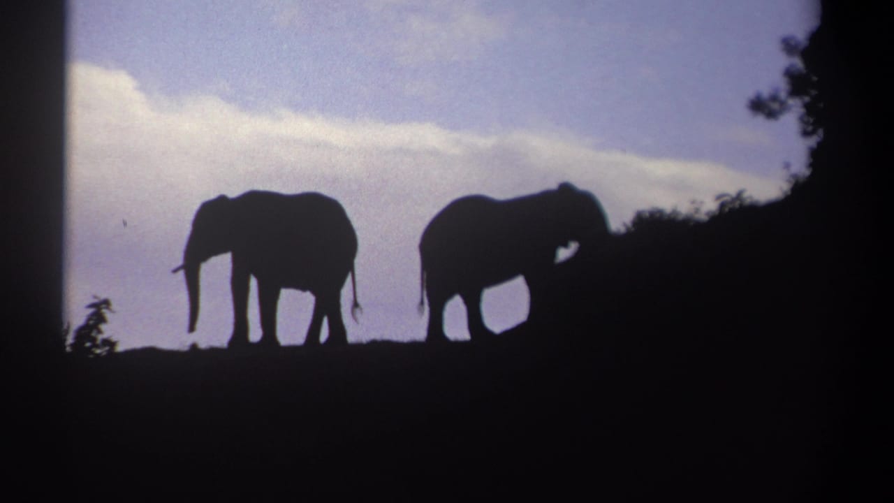 Two elephants in silhouette walking along a ridge beneath a blue sky and pale clouds.