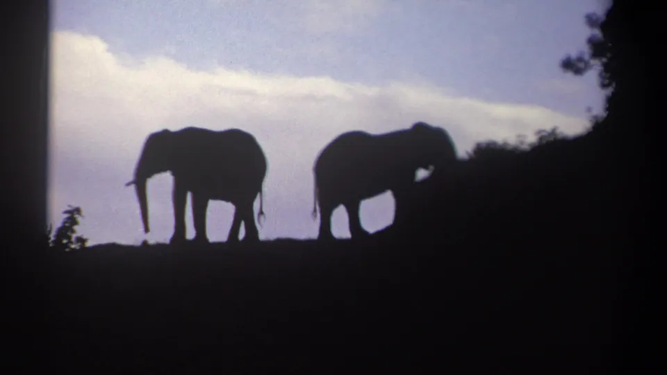 1969 Kenya 8mm still with two elephant silhouettes on a ridge, set against blue sky, pale clouds, and dark brush.