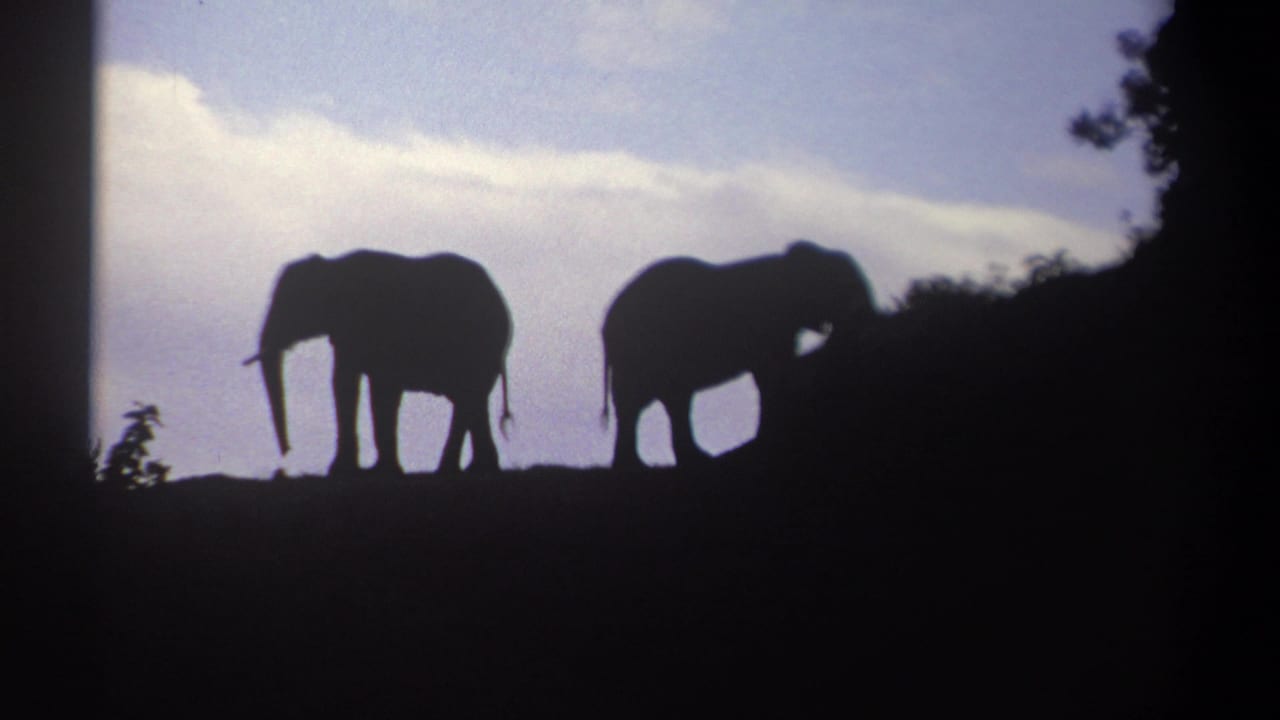 Two elephants silhouetted on a hill under blue sky and clouds.