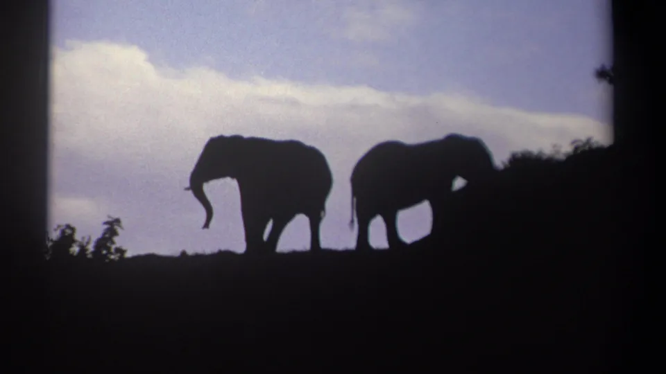 Two African elephants remain silhouetted on a Kenyan ridge in 1969 8mm footage, with sky, clouds, and dark vegetation around them.