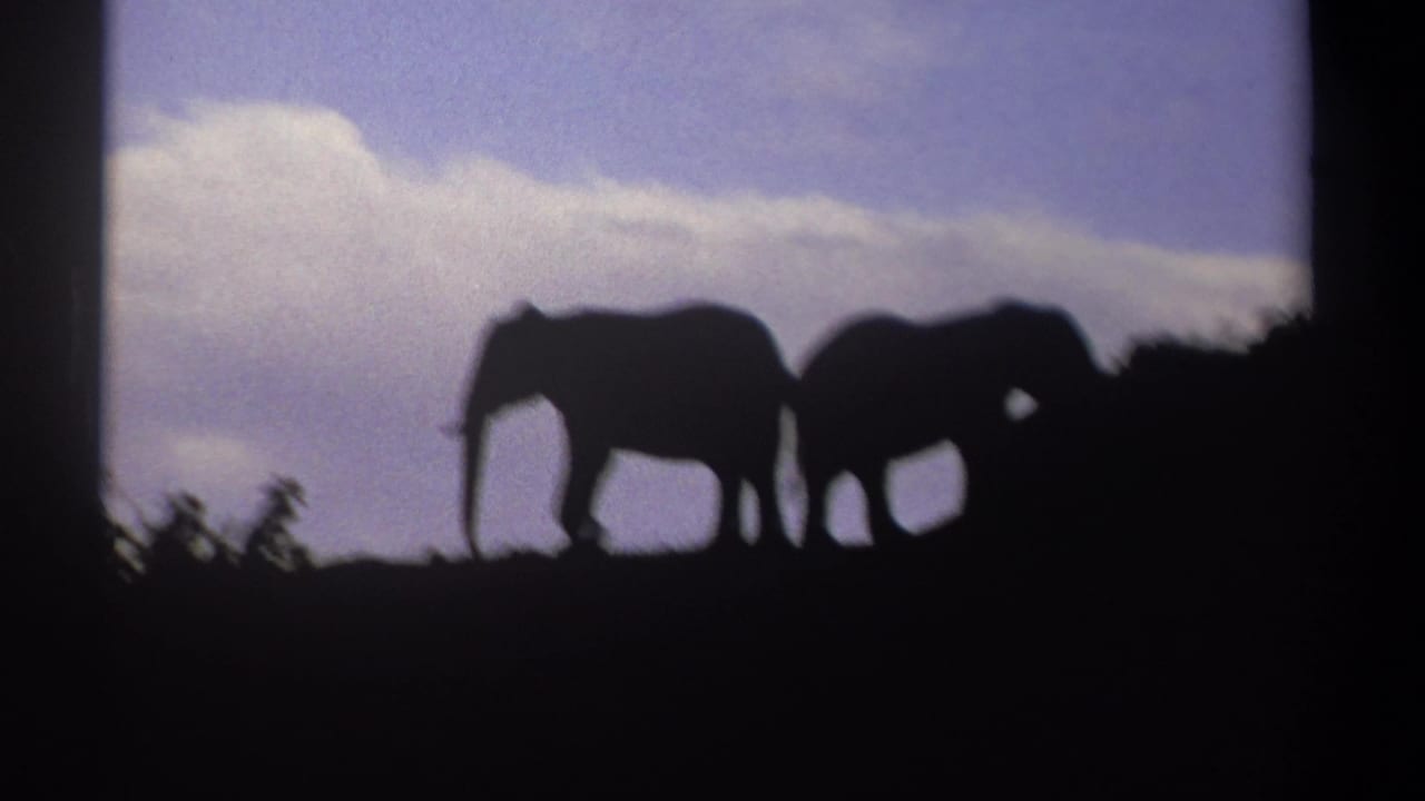 In the Kenya 1969 8mm frame, two elephant silhouettes continue along the skyline against a soft, clouded sky.